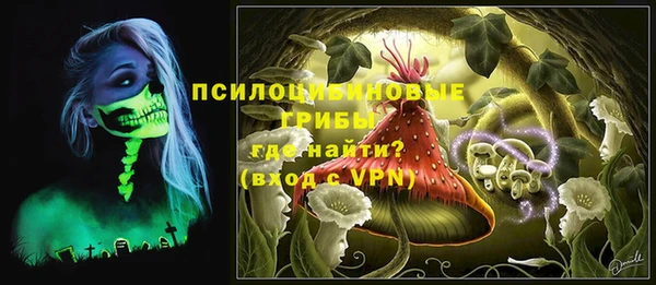 ECSTASY Алзамай