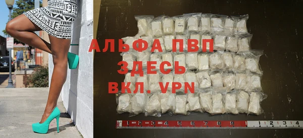 ECSTASY Алзамай