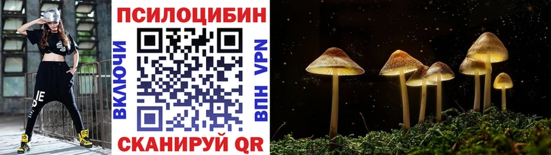 закладка  Краснокамск  Псилоцибиновые грибы Psilocybine cubensis 